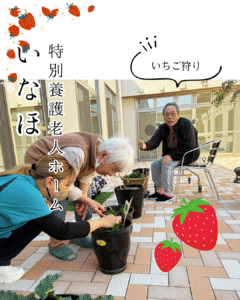🍓いちご狩り🍓