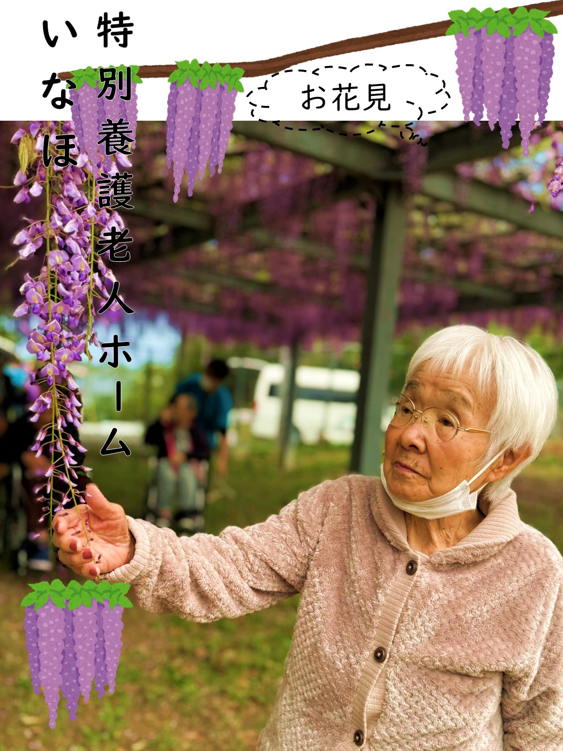 🎶藤のお花見🎶